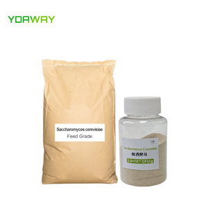 Thức ăn khô men thức ăn phụ gia Saccharomyces cerevisiae bột cho thức ăn chăn nuôi đường ruột sức khỏe - Product Image 1