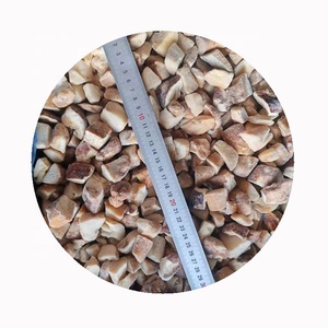 Venta al por Mayor de Champiñones Porcini Enteros Congelados IQF de Cultivo Orgánico 10kg Sharp Dragon - Product Image 3