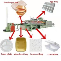 Ligne de Production de Machines pour Assiettes et Plats en Mousse PS, Boîtes Alimentaires, Barquettes, Assiettes Jetables en Mousse