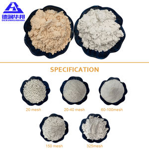 Poudre de diatomite blanche Terre de diatomées utilisée pour <span class=keywords><strong>filtre</strong></span> de <span class=keywords><strong>piscine</strong></span> - Product Image 3