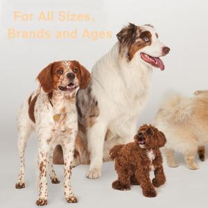 Suporte OEM/ODM Promove Mobilidade e Flexibilidade para Animais de Estimação Suplementos para Animais de Estimação que os Pets Adoram Comer Pó para Articulação do Quadril de Cães para Todas as Raças - Product Image 3