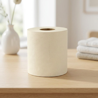 Nouvelle Arrivée Papier Toilette Biodégradable Écologique en Pulpe de Bambou 2 Plis Gaufré Doux et Jetable