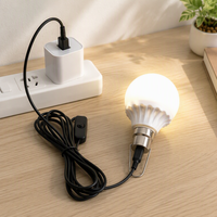 Ampoule LED USB avec interrupteur et crochet, lumière de nuit résidentielle 5V à brancher pour dortoir et camping, température de couleur réglable, économie d'énergie