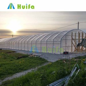 Huifa phát triển Nhà Màu Xanh lá cây kích thước lớn một lớp nhựa dưa chuột nhà kính để bán - Product Image 6