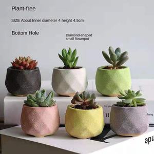 Vaso de cerâmica kawaii, mini vaso de flores para uso interno de casa, decoração de cerâmica, potes de plantas suculentas - Product Image 3