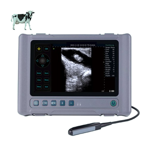 Grand scanner à ultrasons numérique complet LCD portable de 8 pouces pour équipement hospitalier à usage vétérinaire Système de diagnostic T1 - Product Image 5