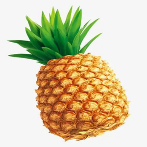 GMP Standard <strong>High</strong> <strong>Quality</strong> Food Grade Pineapple Extract <strong>Bromelain</strong> in Powder Form Vacuum Packed in Drums - Product Image 2