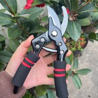 Arbeidsbesparende rood/zwarte snoeischaarset voor het snoeien van tuinbloemen, fruitbomen en takken