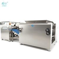 Machine automatique de fabrication de nouilles et de pâtes en acier inoxydable, haute efficacité, capacité de 500 kg/h, vente en gros
