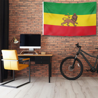 Drapeau personnalisé Rasta Lion en polyester, bannière extérieure verte, jaune, rouge, style éthiopien, drapeau mural avec œillets en laiton