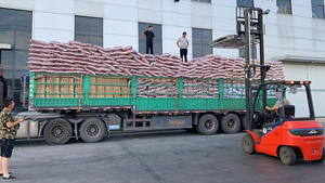 מותאם אישית חלבון גבוה מיובש בהקפאה מזון מזון מלא לכל הגילאים על בסיס בשר עוף - Product Image 6