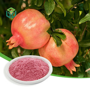 Jiuyuan Supply Polvere di Melograno 100% Naturale Solubile in Acqua - Product Image 1