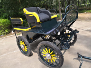 รถม้าหรูหรา รถม้าสำหรับงานแต่งงานสุดหรู บริการขนส่งพิเศษ - Product Image 3