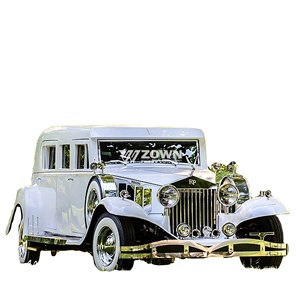 عربة خيول كهربائية لنقل الجثث - هيكل فولاذي جديد - Product Image 1