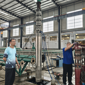 Bomba sumergible industrial de frecuencia personalizada SS304 para transferencia de agua salada - Product Image 5