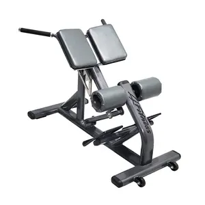 Spor salonu kullanımı için ticari ayarlanabilir ağırlık sehpası Roman sandalye geri kas çalıştırıcı tezgah presi