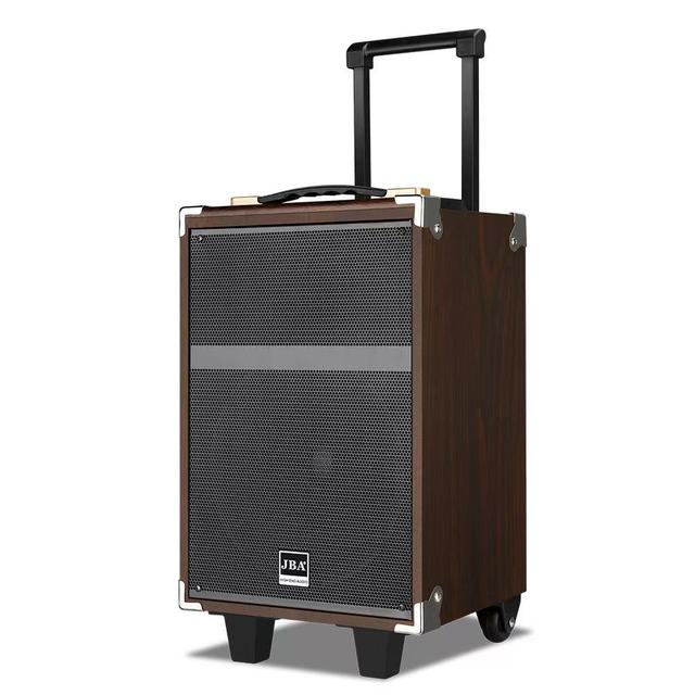 8 Inches Reliable Reputation Karaoke Box with Wireless Mic&remoter 12 Inch Trolley Speaker Outdoor Party Speaker Speaker