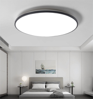 Plafonnier LED moderne et simple en acrylique et métal ultra-mince pour salle de bain, cuisine, couloir, salon, triple protection, intensité variable