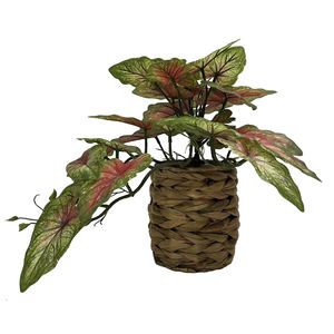 Simulation Maison Décoration Plante Rouge Gradient Feuille <span class=keywords><strong>Arum</strong></span> Famille Vert Plante Pot-149 - Product Image 6