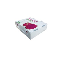 Boîte-cadeau portative en plastique coloré personnalisable de calcium conçue pour les oranges et les kiwis