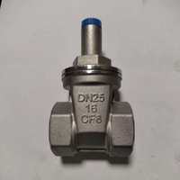 Vanne à opercule magnétique en acier inoxydable Z15W-16P, Vanne à opercule filetée antivol pour compteur d'eau