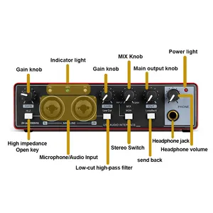 MD22 professionale di registrazione in Studio Console di missaggio Podcast 2 canali 24Bit 192Hkz interfaccia Audio USB scheda Audio per la registrazione