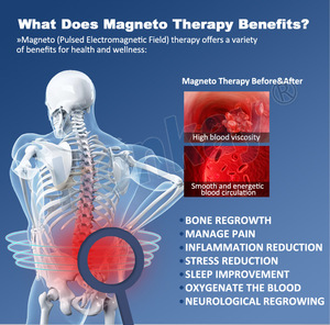 Máquina de Terapia PEMF de Escritorio, Bucle PEMF para Lesiones Deportivas, Alivio del Dolor, Cuidado de la Salud Animal, Fisioterapia, Clínica en Casa - Product Image 2