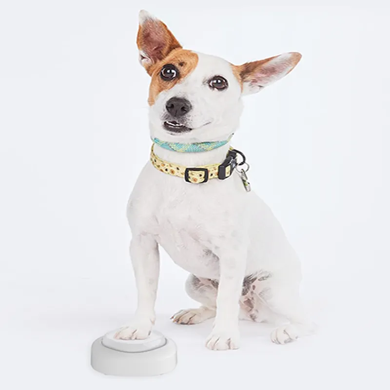 Interactive Pet Treat Toy IQ TRAINING AUTOMATIC DOG CAT FEEDERS