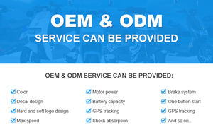 Controlador Bldc personalizado de 2000W para vehículos eléctricos para motocicletas y rickshaws - Product Image 5