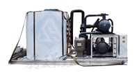 Máquina para hacer hielo en escamas, máquina para hacer escamas de helado, industrial, 1 tonelada, día, agua dulce