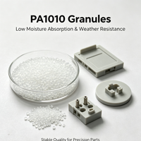 Granulés de résine de nylon 1010 PA1010 à base de bio-matériaux