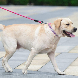 <span class=keywords><strong>Collar</strong></span> de camuflaje para perro, accesorio reflectante de nailon ajustable, color rosa - Product Image 6