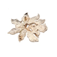 Broches d'orchidées brillantes en cristal, pour femme, bijoux tendance, cadeau idéal, collection