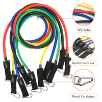 Set de 11 Bandas de Resistencia de TPE con Asas, Anclaje para Puerta y Correas para Tobillos, Kit de Entrenamiento de Cuerpo Completo para Gimnasio en Casa, Logotipo Personalizado