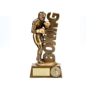 OEM अनुकूलित थोक राल नई पुरस्कार क्रिकेट ट्रॉफी और पुरस्कार, मेमोरियल स्मारिका बास्केटबॉल ट्रॉफी - Product Image 4
