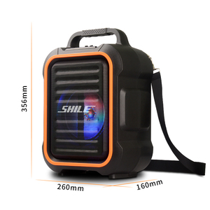 SL-2016 PP + ABS 6.5 inch chuyên nghiệp 15 Wát âm thanh hộp ngân hàng điện electrovoice hoạt động Mini BT Loa - Product Image 3