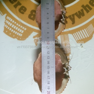 Concha de cangrejo para rellenos/platos de servicio, Ms: vacaciones - Product Image 1