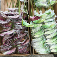 G-86-3 Hoogwaardig, zacht aanvoelend, hydraterend Anthurium zacht rubberen bloemstuk in Morandi-stijl