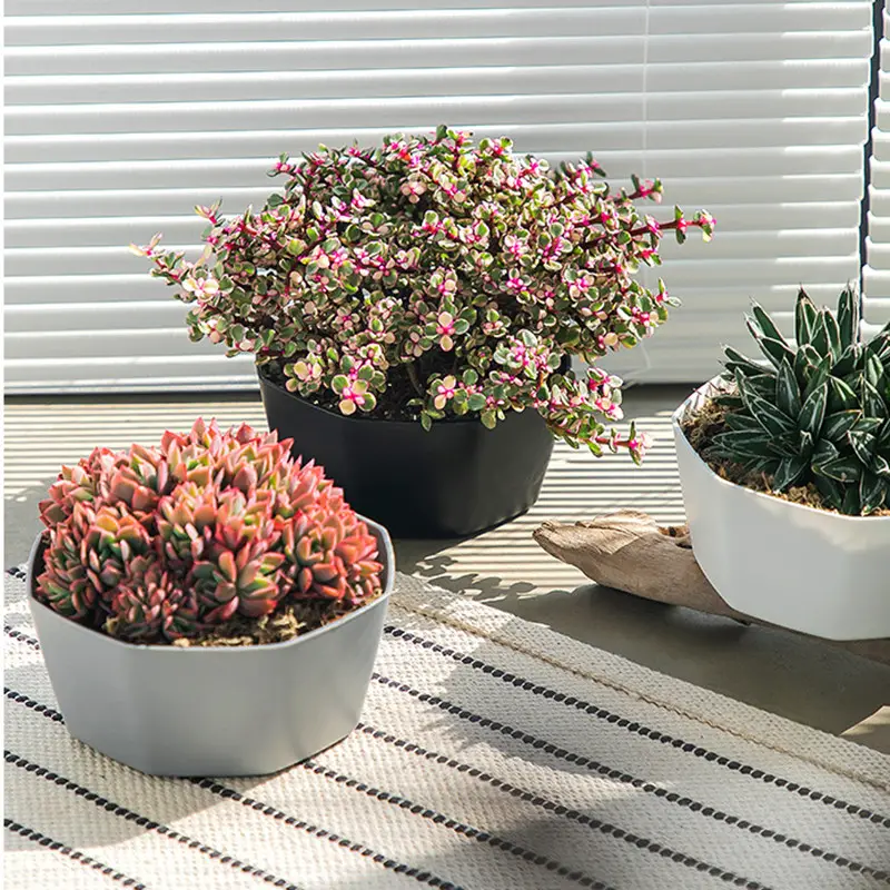 Per piantare la casa al coperto decorazione succulenta plastica grande capacità bacino basso giardino vaso da fiori in plastica