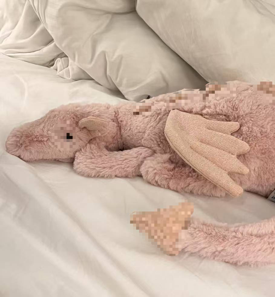 50cm Medium Pink Dragon