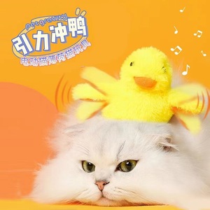 Juguete eléctrico de peluche con sonido para gatos y perros, juguete interactivo amarillo con sonido para mascotas, modo automático - Product Image 2