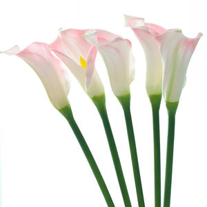 عالية المظهر الطبيعي الاصطناعي بو الأبيض زنبق كالا زهرة اللمس الحقيقي بالجملة لغرفة المعيشة الزفاف الديكور في الهواء الطلق - Product Image 4