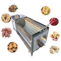 Hot-Selling Automatische Borstelwasmachine Voor Gember, Yam, Pinda-Groente-En Fruitreiniger Met Hoge Capaciteit Met Een Goede Prijs