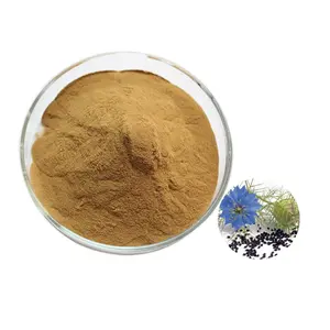 100% Natural Black Seed Powder Nigella Sativa Seed Extract 10:1 Pure Black Cumin Extract Powder