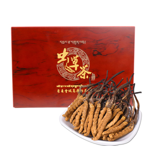 Grosir <span class=keywords><strong>Cordyceps</strong></span> kering Sinensis <span class=keywords><strong>Wild</strong></span> <span class=keywords><strong>cordyceps</strong></span> jamur <span class=keywords><strong>Cordyceps</strong></span> alami - Product Image 4