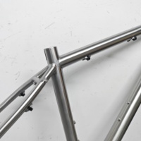 Cadre de vélo VTT en titane de style le plus récent, finition brillante