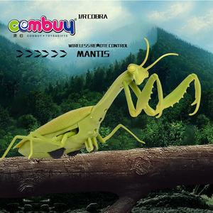 Giocattolo Realistico di Mantide Predeatrice in Plastica con Controllo Remoto a Infrarossi - Product Image 3