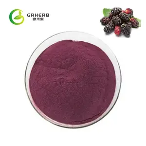 Food Grade Natural Mulberry Extract Mulberry Fruit Juice Powder