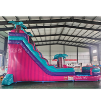 Toboggan aquatique gonflable couleur vive avec grande piscine, toboggan aquatique à une voie pour enfants, idéal pour les fêtes d'été, structure aquatique gonflable