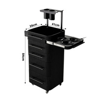 Armoire à outils de salon de coiffure simple et élégante, chariot de rangement pour maquillage et beauté, chariot à roulettes pour outils de salon, armoire à maquillage roulante